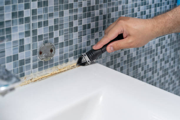 Best Mold Cleaning Services  in Village Of Four Seasons, MO